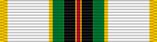 Cold War Victory Medal
